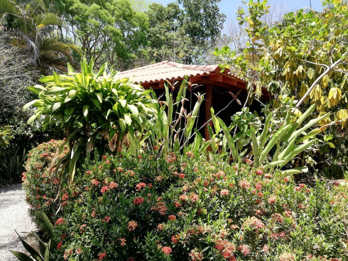 Mundo Goub'Art Bed & Breakfast Cabuya  Exterior photo