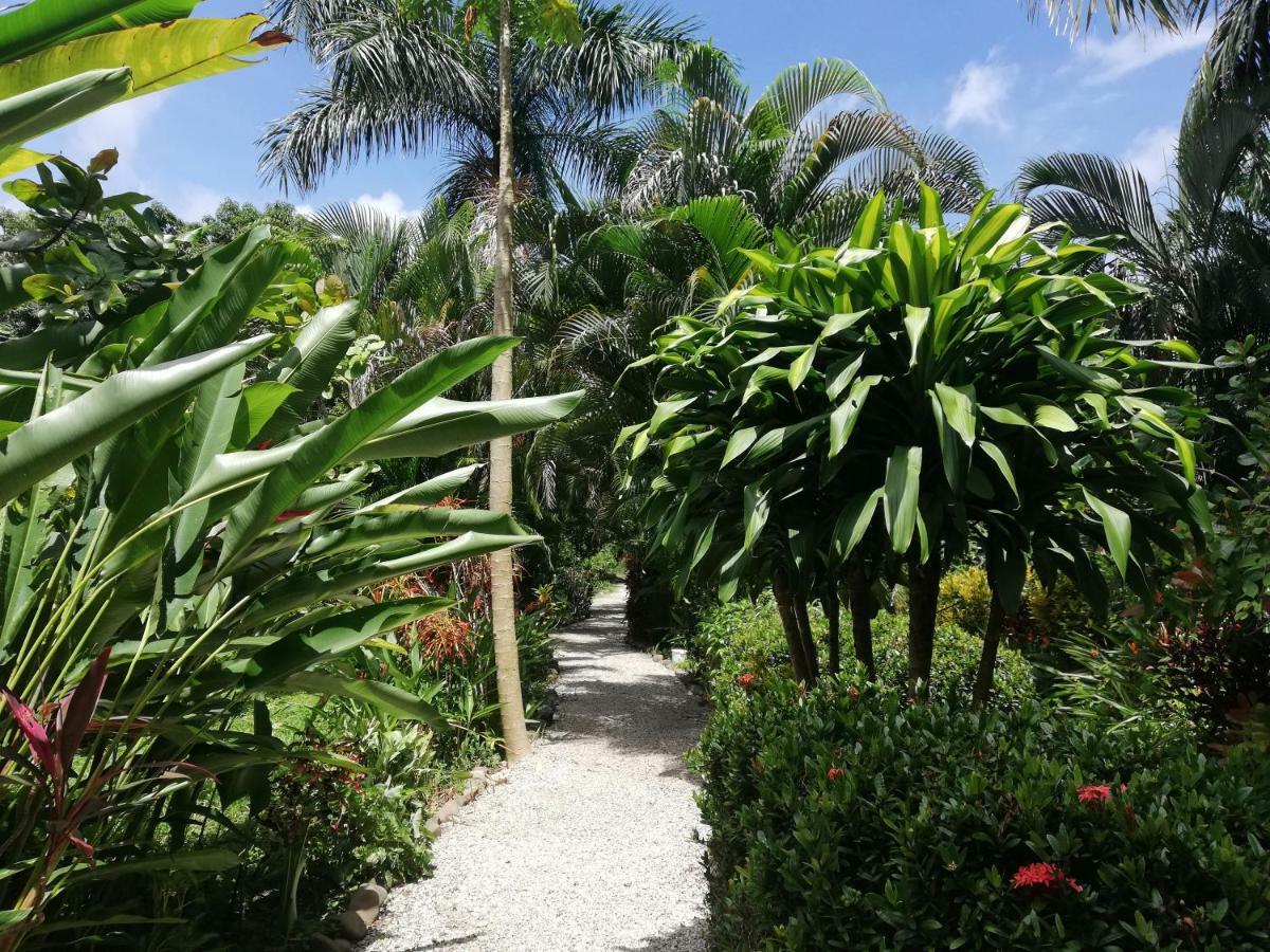 Mundo Goub'Art Bed & Breakfast Cabuya  Exterior photo